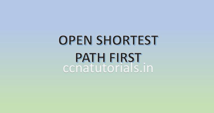 OSPF Open Shortest Path First, ccna, ccna tutorials