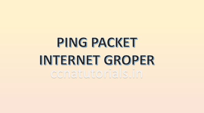ping packet internet groper, ccna, ccna tutorials