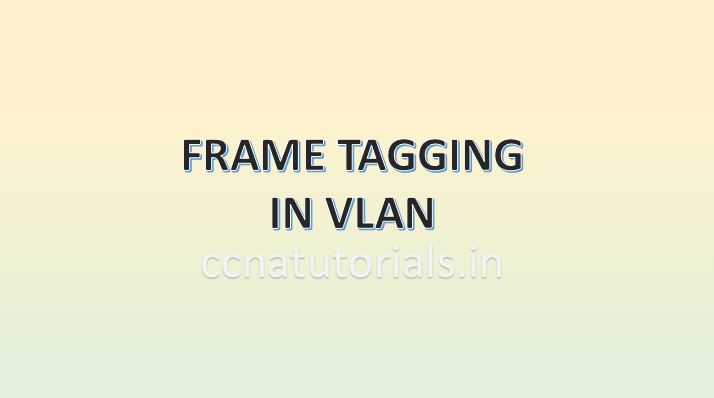 frame tagging in vlan, ccna, ccna tutorials