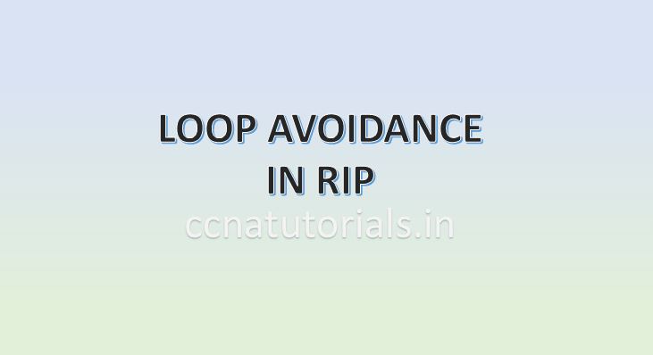 loop avoidance mechanism in RIP, ccna, ccna tutorials
