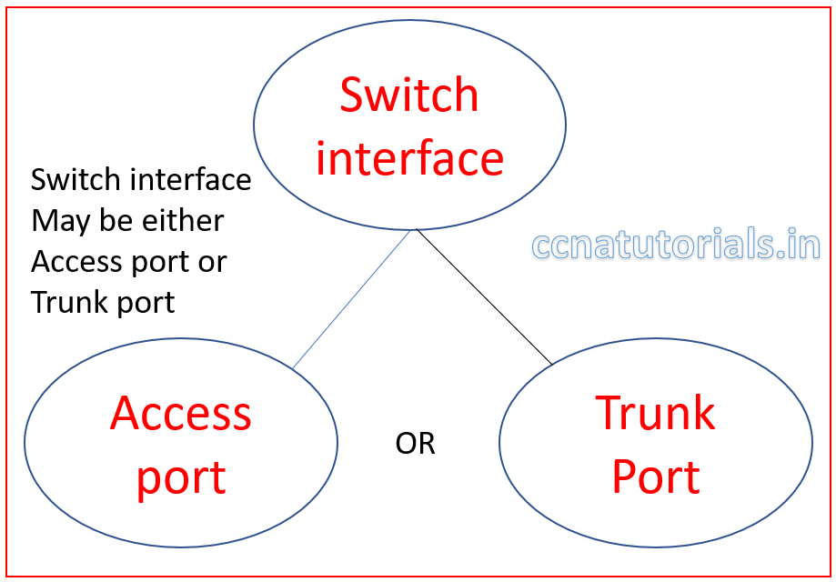 access and trunk ports, vlan, ccna. ccna tutorials