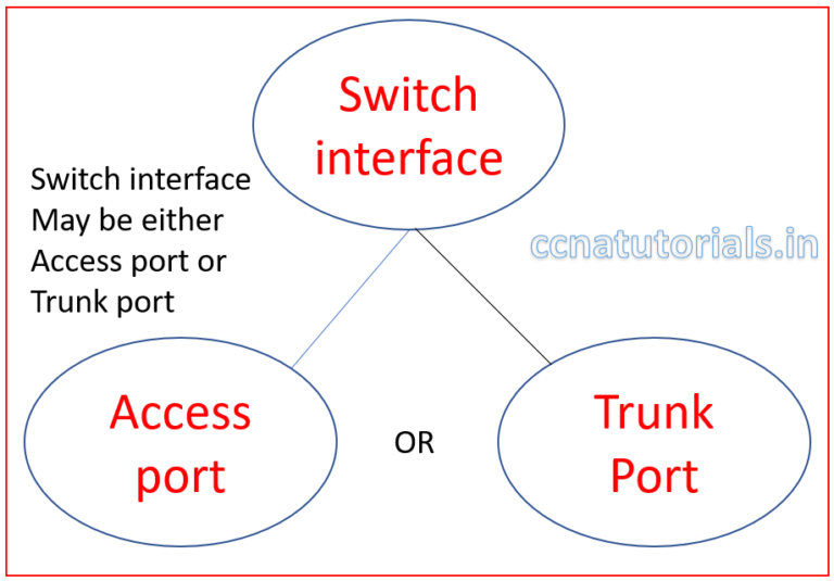 Configure Access and Trunk mode port of switch port CCNA TUTORIALS