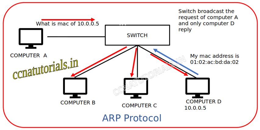 ARP Address Resolution Protocol, ccna , ccna tutorials