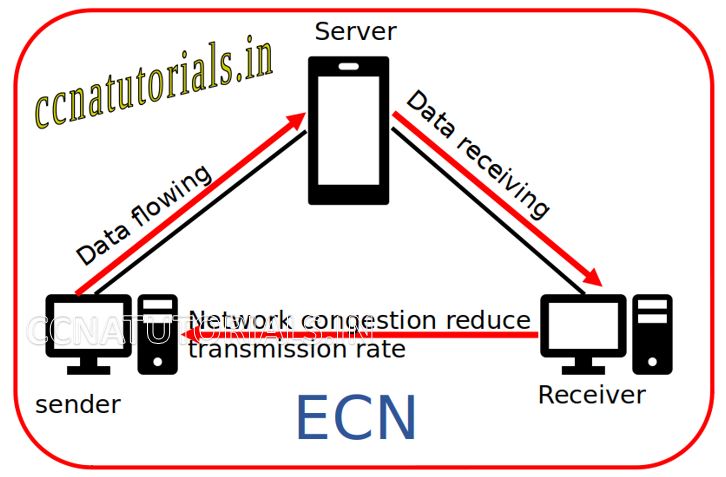 ECN Explicit Congestion Notification, ccna, ccna tutorials