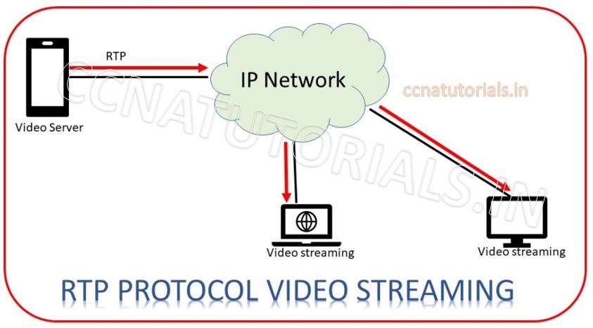 rtp real time transport protocol, ccna tutorials, ccna