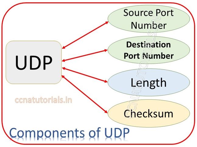 udp user datagram protocol, ccna tutorials, ccna