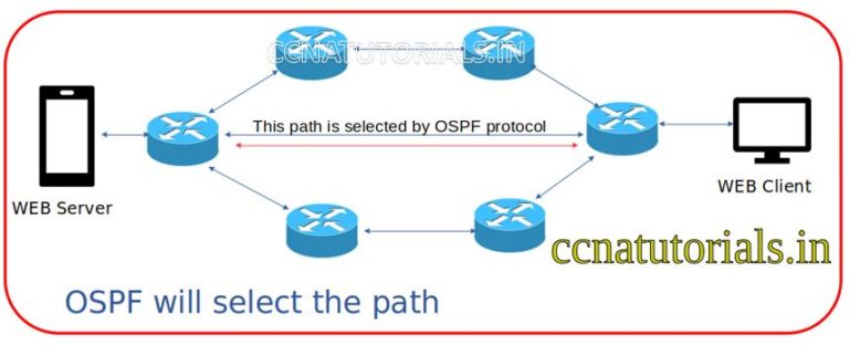 Dynamic routing in router explained with examples - CCNA TUTORIALS