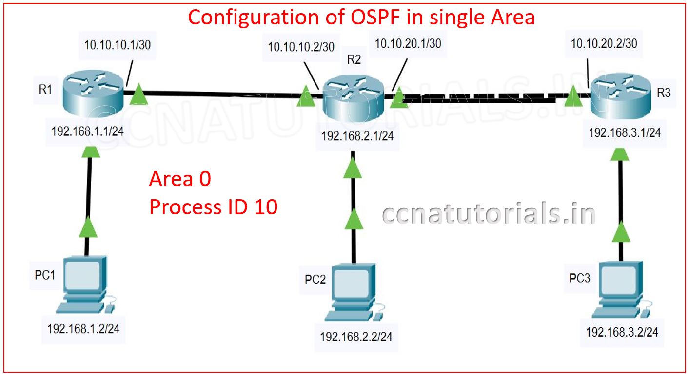 configuration of ospf in single area, ccna, ccna tutorials