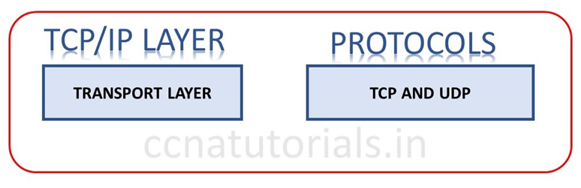 bgp protocol tutorial, ccna, ccna tutorials
