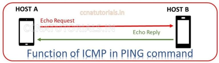 ping Packet internet Groper, ccna, ccna tutorials