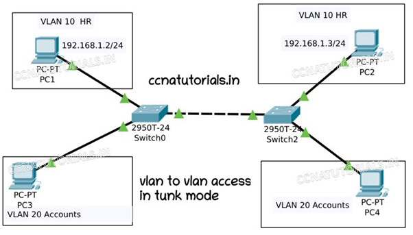 configure and verify interswitch connectivity, ccna, ccna tutorials