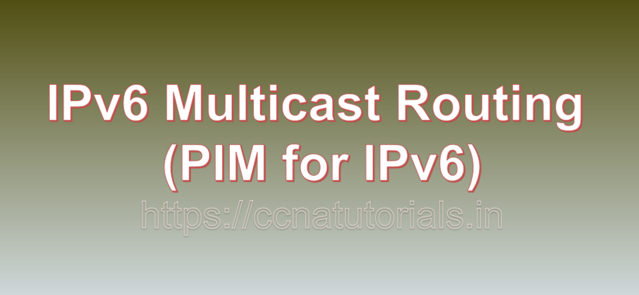 IPv6 Multicast Routing (PIM for IPv6), ccna, ccna tutorials