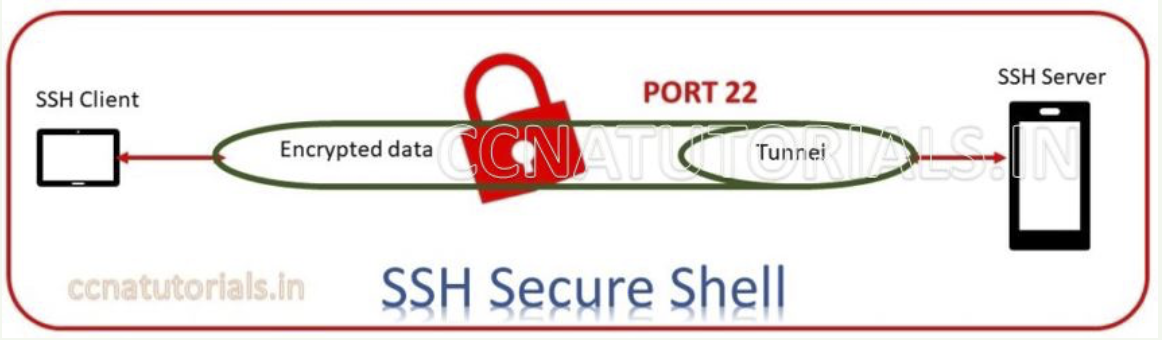 Configuring SSH on a Router in Packet Tracer, ccna, ccna tutorials