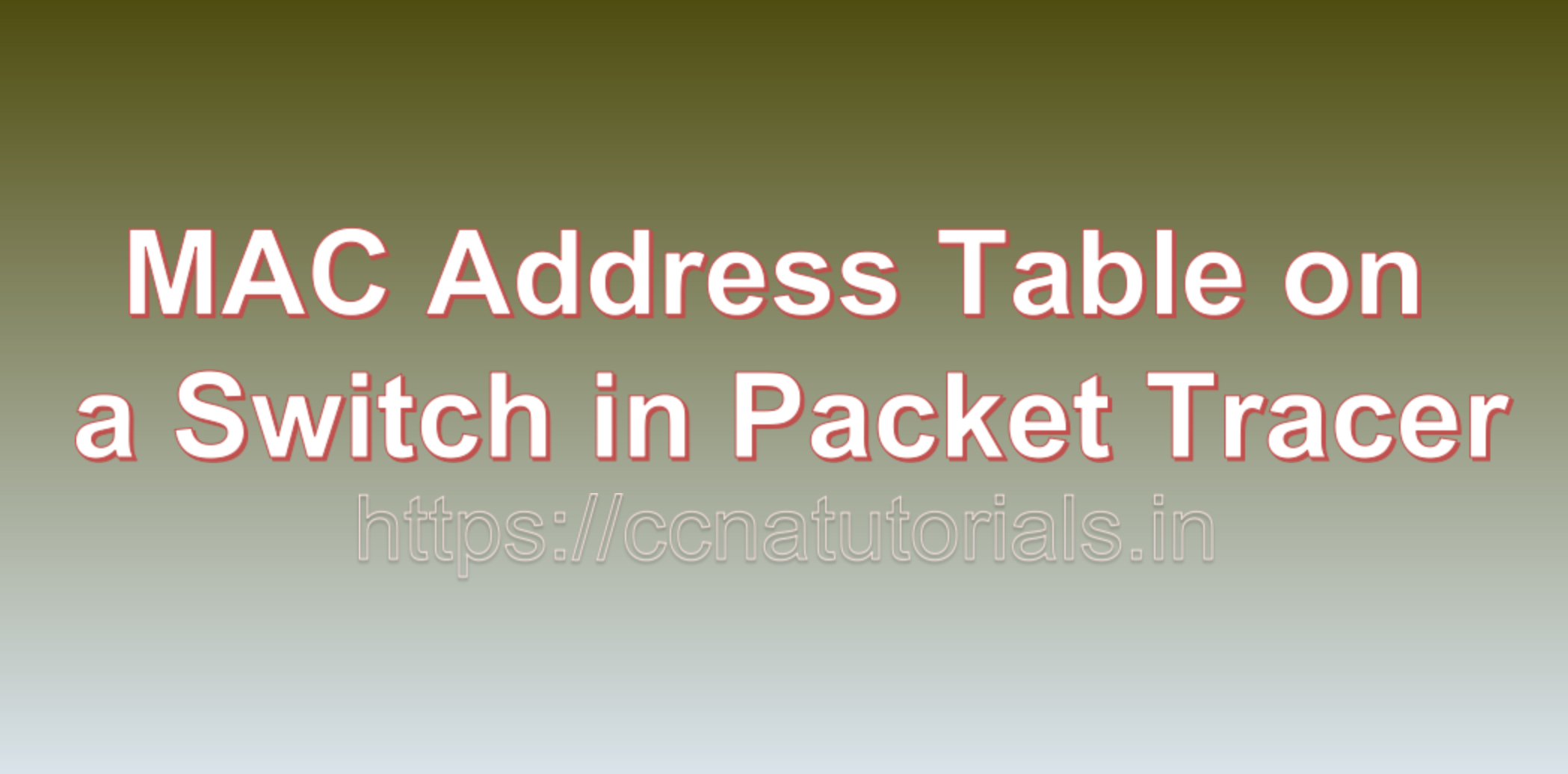 MAC Address Table Entries on a Switch in Packet Tracer, ccna, ccna tutorials