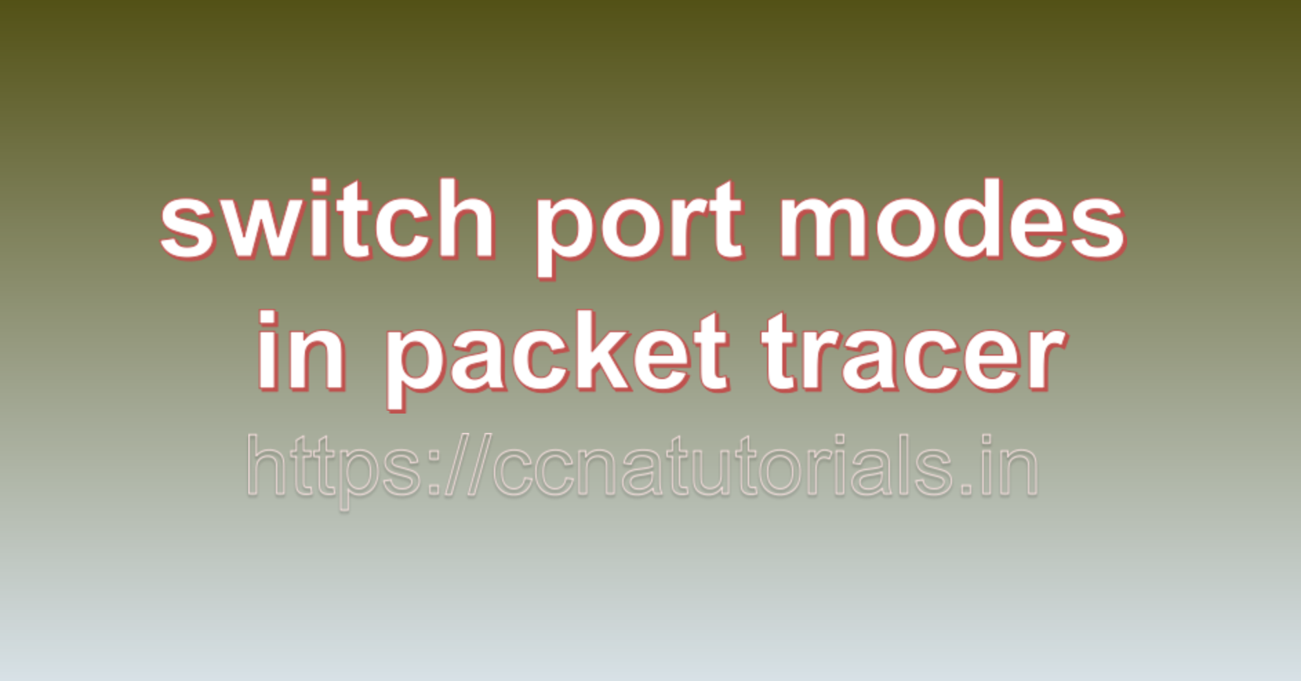 switch port modes in packet tracer, ccna, ccna tutorials