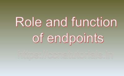 Role and function of endpoints, ccna, ccna tutorials