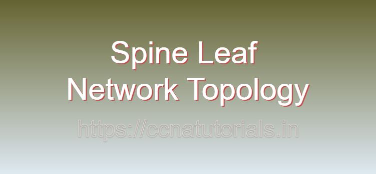 Spine leaf network topology, ccna, ccna tutorials